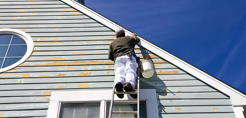 Professional Roof and Siding Repair Services in Chula Vista, CA