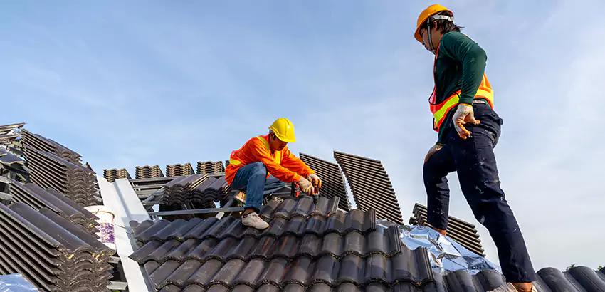 Professional Roofing Services in Chula Vista, CA